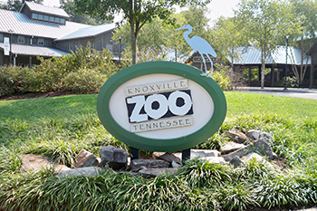 knoxville zoo