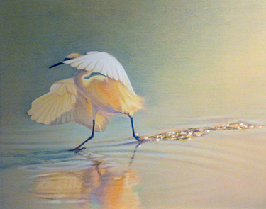 egret