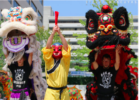 knox asian festival