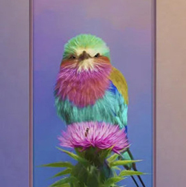 emporium art bird