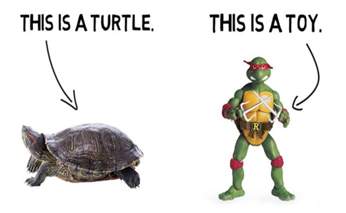 turtle toy