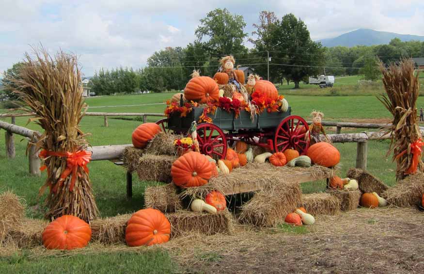 fall display in wears valley