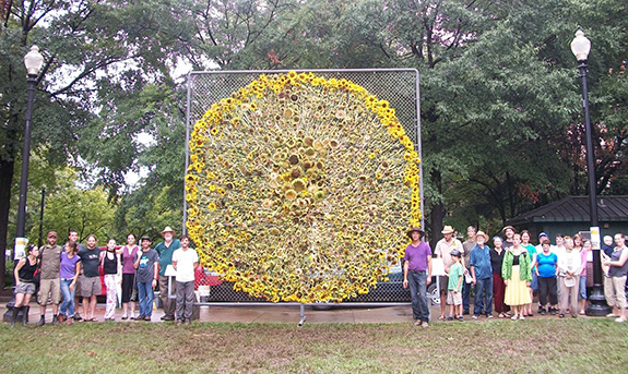 sunflower project