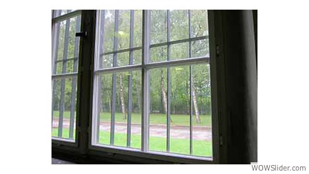 Window looking out on the surrounding forest area at Dachau