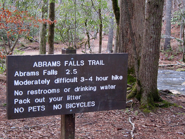 abrams falls trail