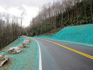 newfound gap road opens