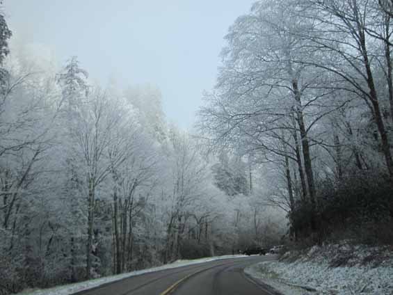 snow in great smoky mountains national park