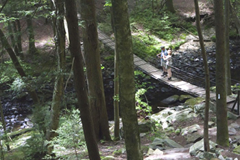 tva trails
