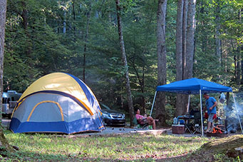 elkmont camping