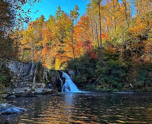 friends of the smokies
