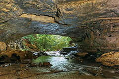 head of the crow state park