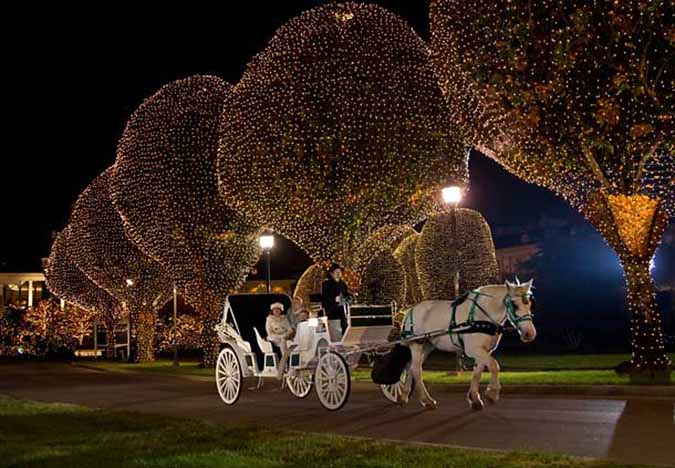 gaylord carriage rides