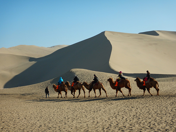 camel riding china