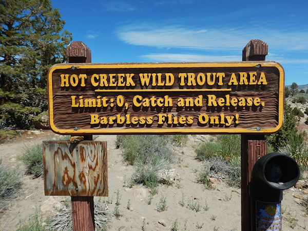 hot creek wild trout area