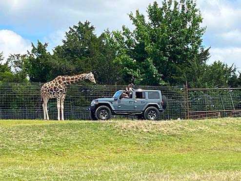 Tennessee Safari Park
