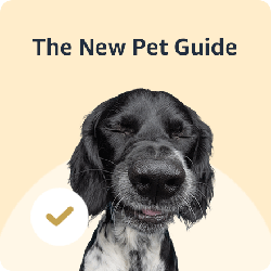 pet guide