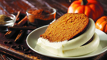 nothing bundt cakes