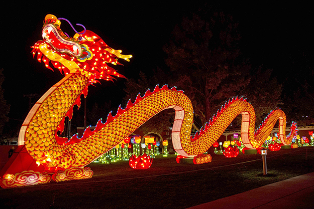 dragon lights festival