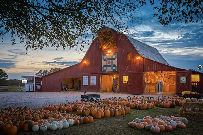 Corn Mazes - East Tennessee corn mazes and pumpkin patches bring Fall fun
