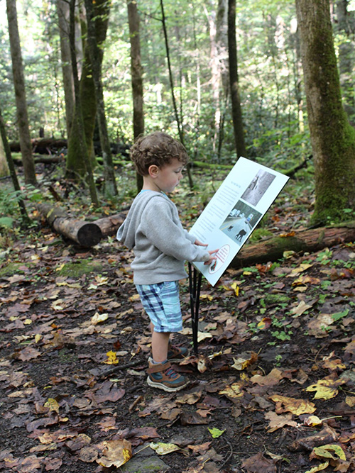 young boy on the storybook trail