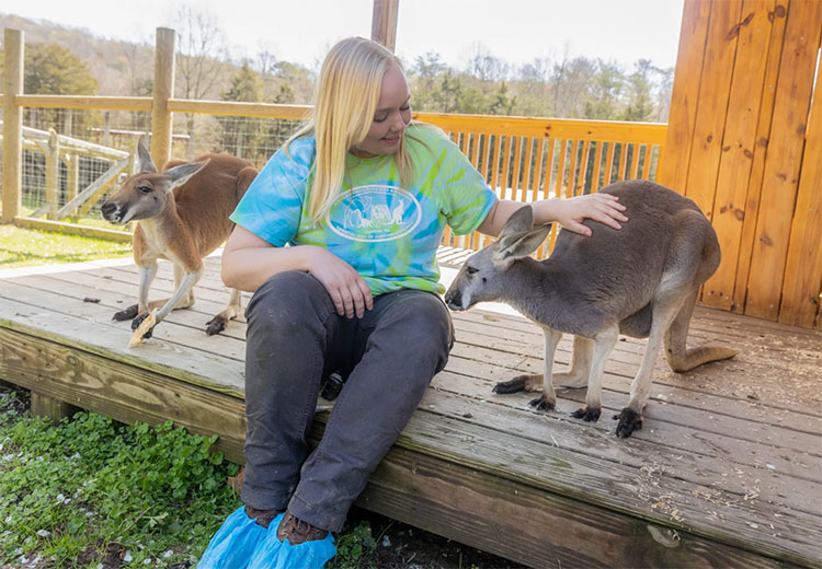 Little Ponderosa Zoo
