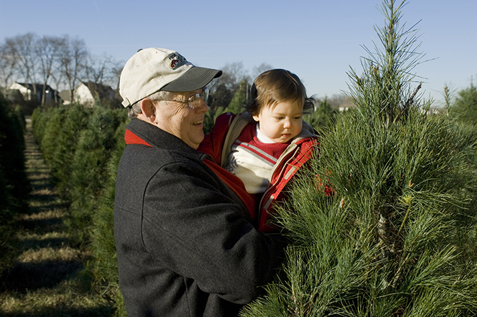 christmas tree farm