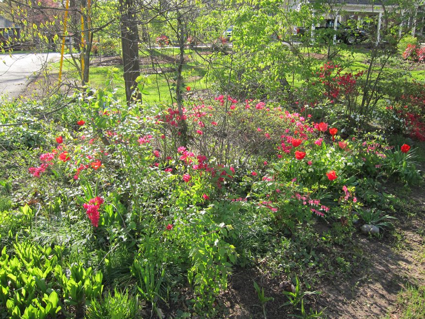 fountain city dogwood trail