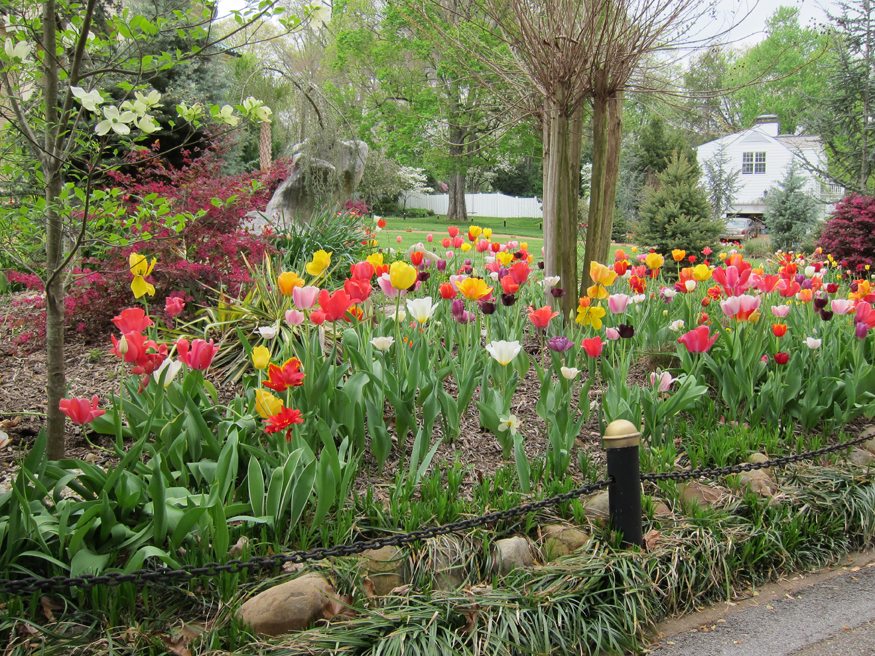 sequoyah hills dogwood trail