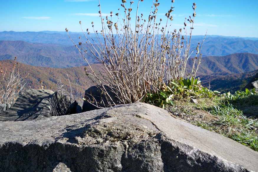 clingmans dome