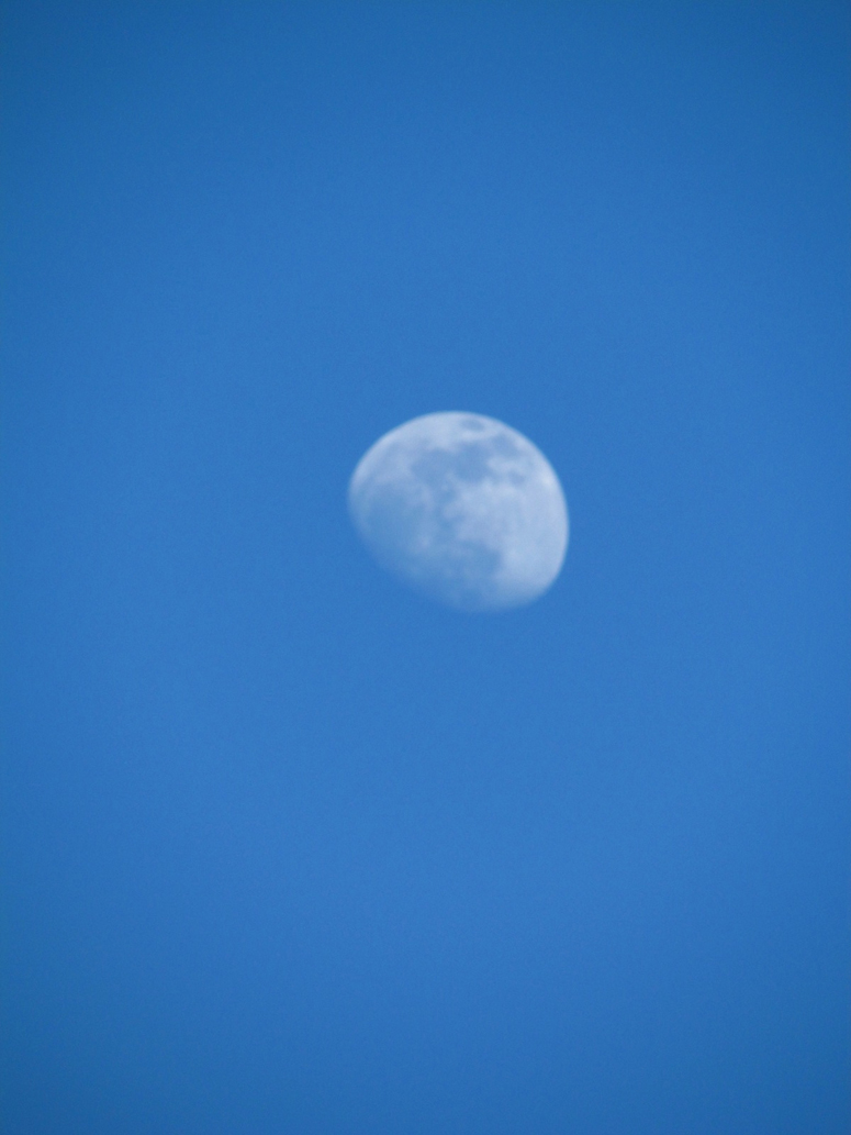 moon in cades cove