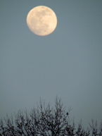 moon over knoxville