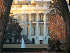 the white house