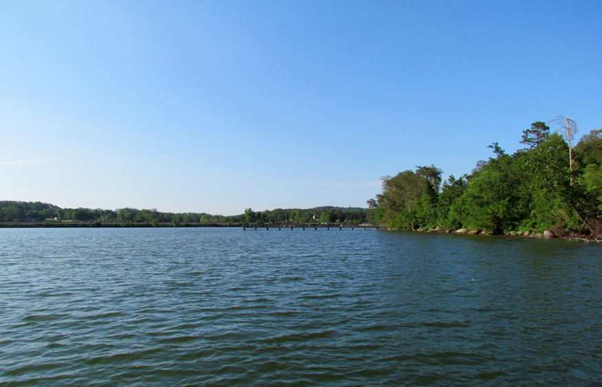 carl cowan park