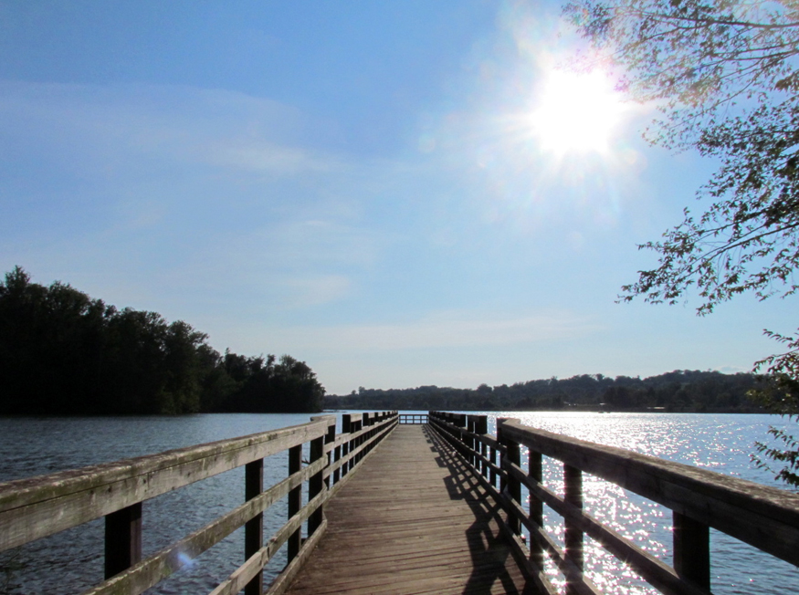 carl cowan park