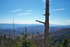 clingmans dome