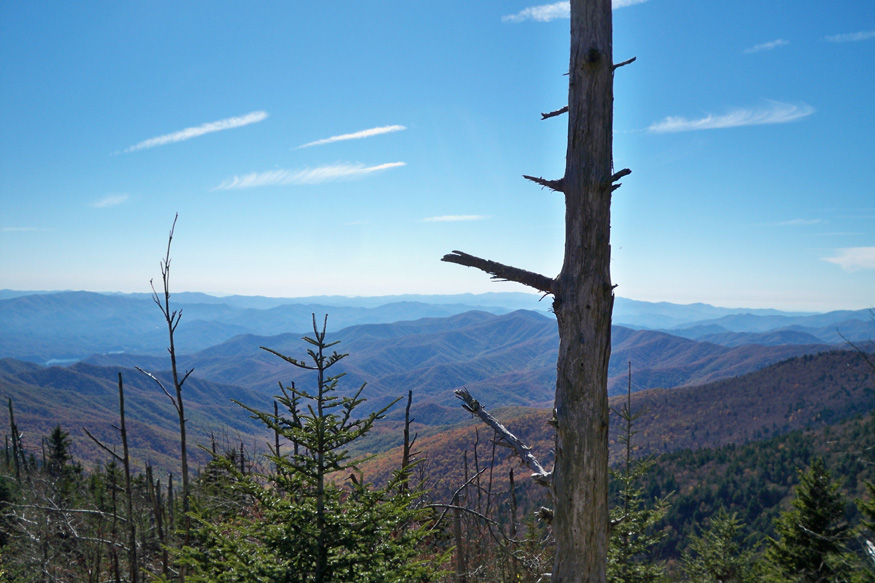 clingmans dome