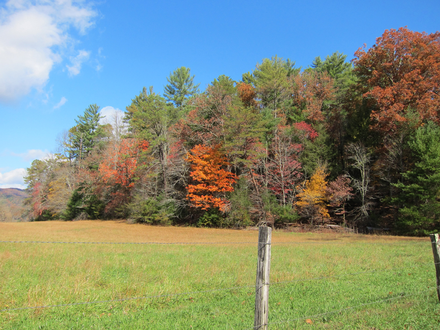 cades cove