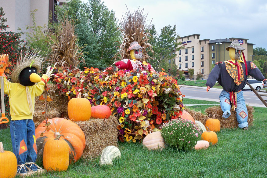 fall foliage