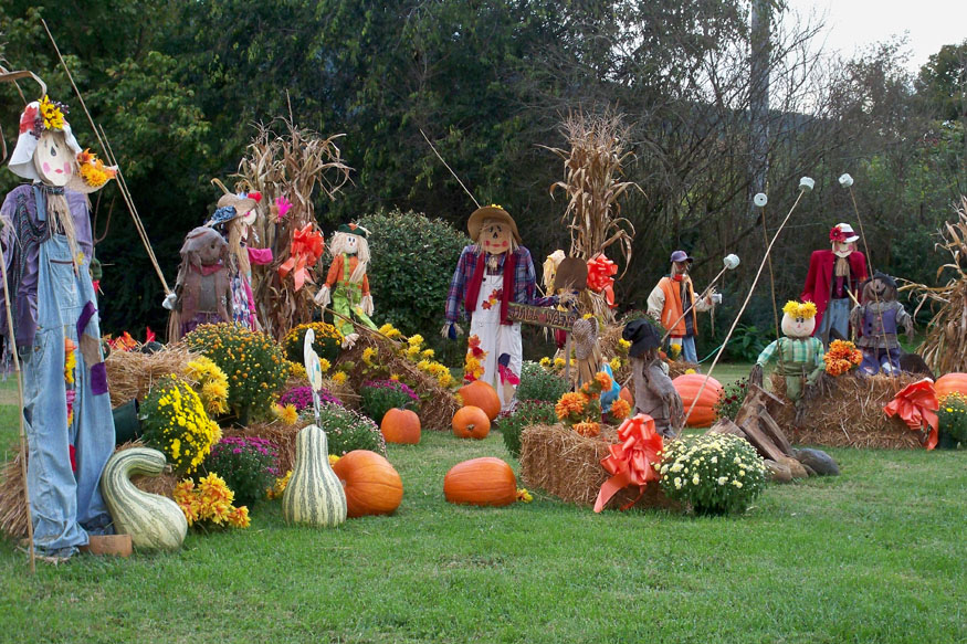 fall foliage