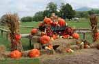 fall display