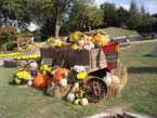 fall display