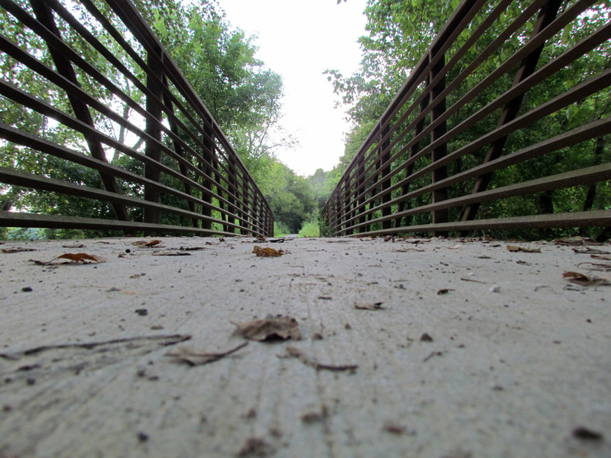 bridge norris tn