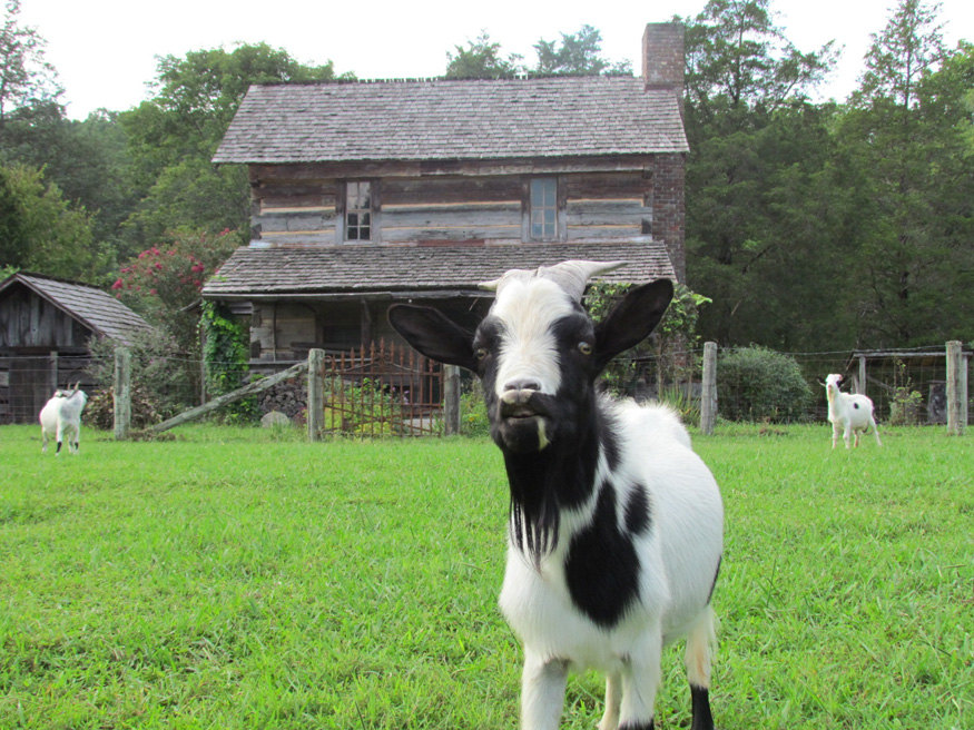 museum of appalachia