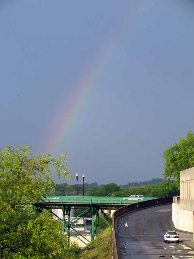 rainbow knoxville