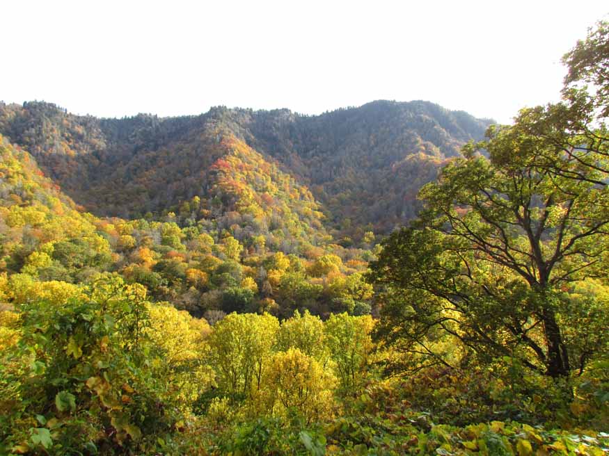 smoky mountains