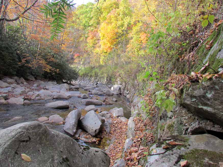 smoky mountains