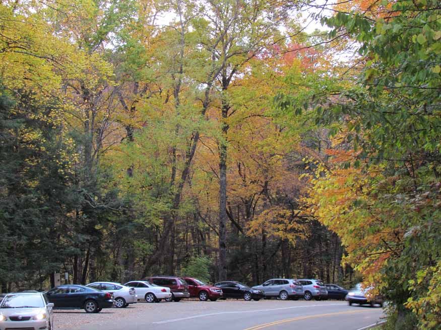 smoky mountains