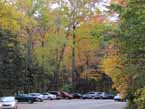 smoky mountain fall foliage