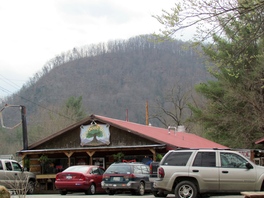 bean tree restaurant