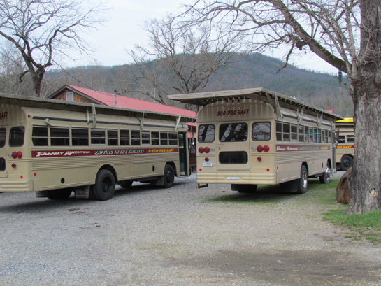buses